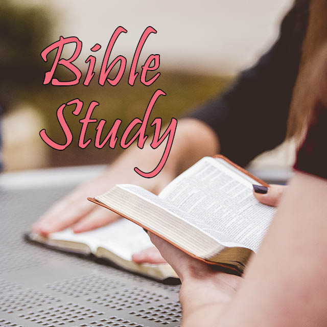 Wednesdays, 9:15 AM, Room 356
Come and join us as we study the Gospel of Mark using material from the New Testament for Everyone series by N. T. Wright. 
